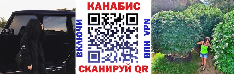 МАРИХУАНА White Widow  купить   кракен как зайти  Ессентуки 